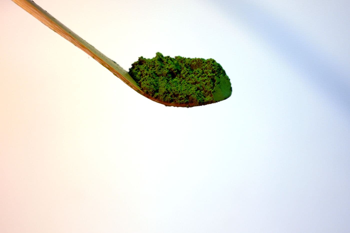 Chashaku-Bambuslöffel mit Matcha-Pulver